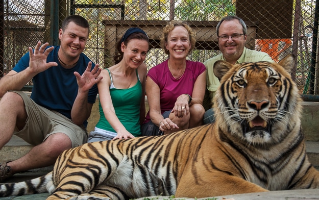 These people should have thier heads examined. (l to r) Drew Meyers, Monica McCarthy, Kristin Henning, and Tom Bartel meet up with tiger cubs and adults in Chiang Mai, Thailand.