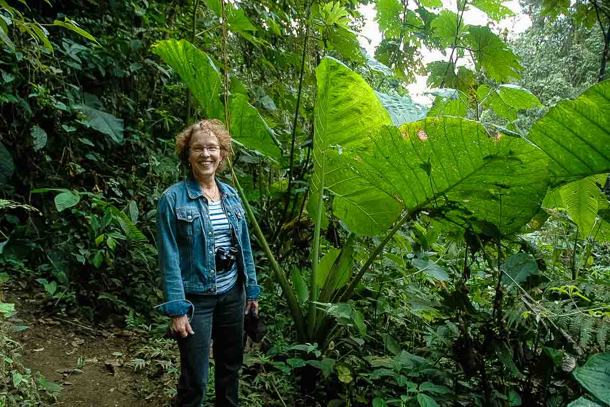 Ecuador Milpe mindo cloud forest Kris