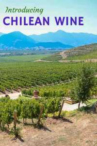 Chilean wines and tours in the central valley