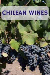 Carmenere grapes and Chilean Wine 