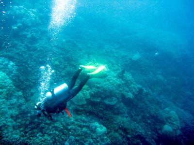 Snorkeling on the Great Barrier Reef, Australia