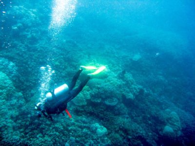 Snorkeling on the Great Barrier Reef, Australia - Travel Past 50