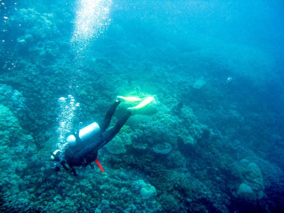 Australia Great Barrier Reef 2