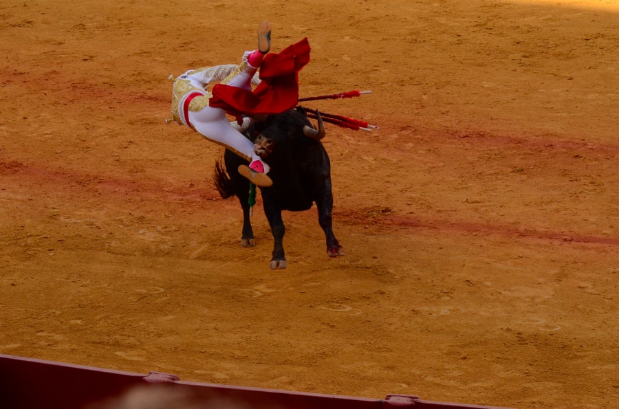 tossed by bull