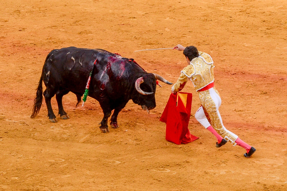 spain seville bullfight 10