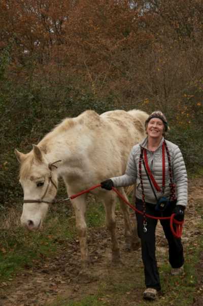 Walking the Horses with Yuki the Dog