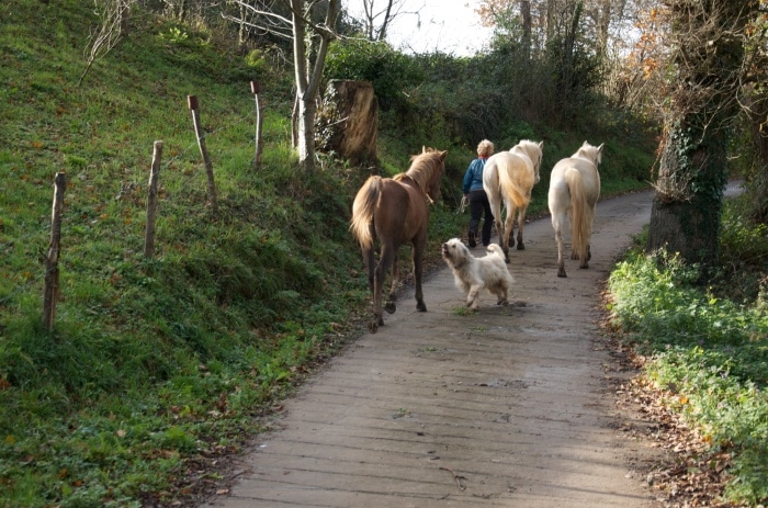 Yuki making sure that Sabba stays with the group.