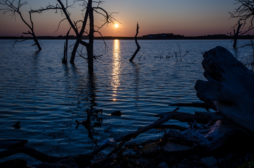 Flooded Trees, Near Lily, South Dakota Travel Past 50