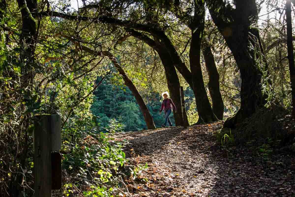 USA California Jack London walking path 2