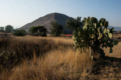 A Not Completely Futile Dash Through Teotihuacán