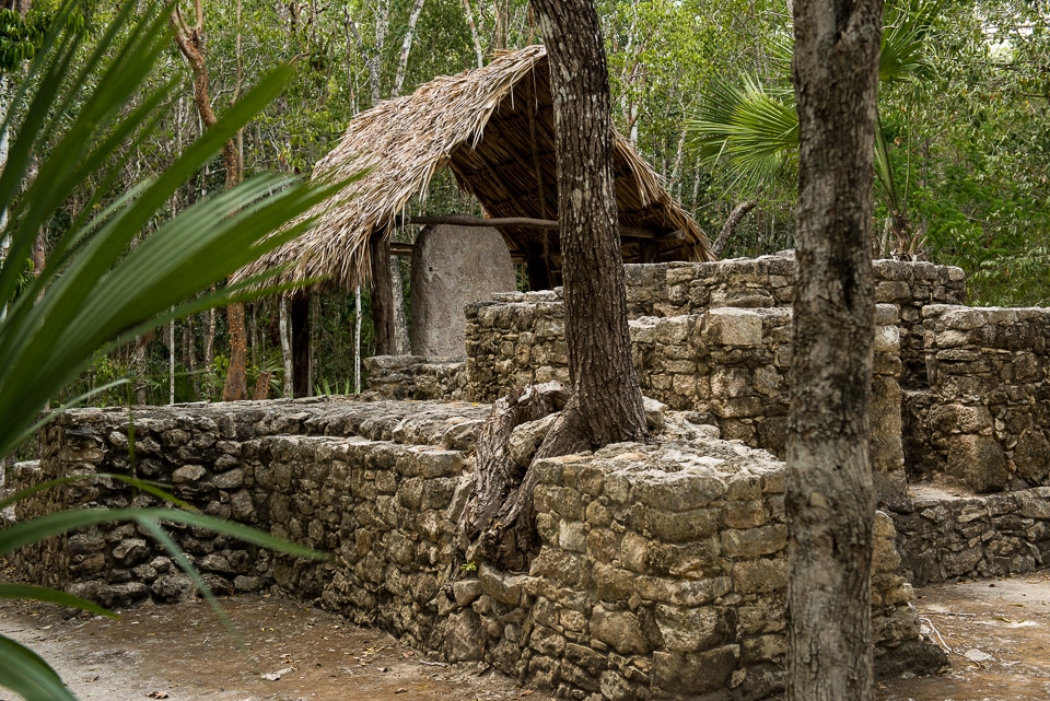 Covered stele Coba Yucatan