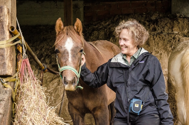 Cantabria horse and house sitting