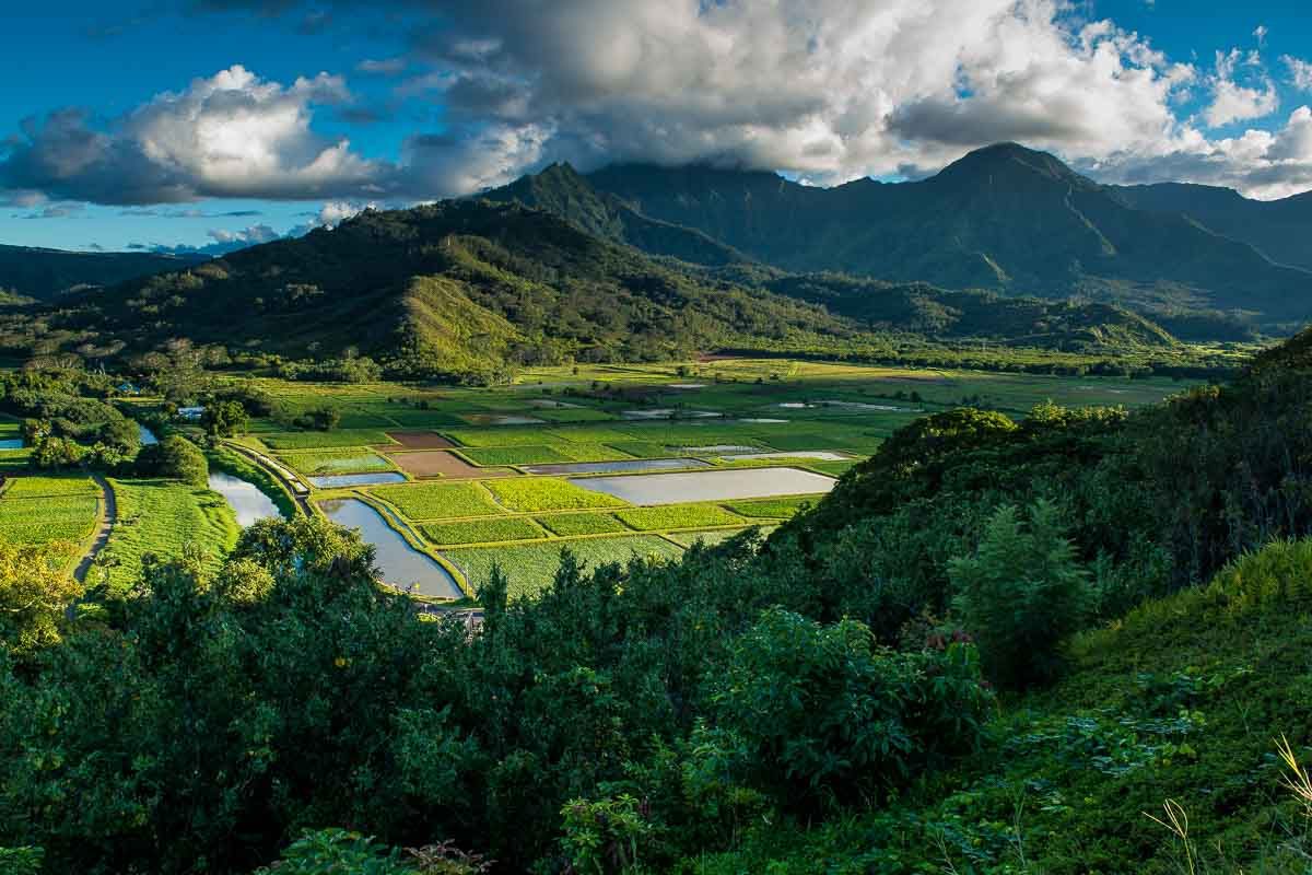 USA Hawaii Hanalei valley kauai 1