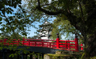 Castle and Cherry Trees, Hirosaki, Japan