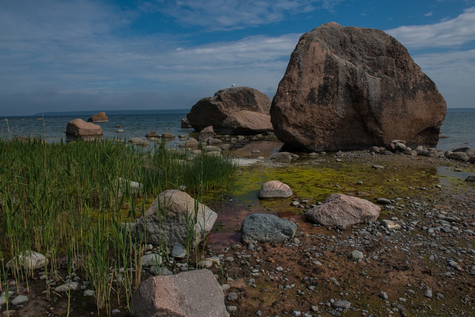 erratic rocks kasmu peninsula estonia