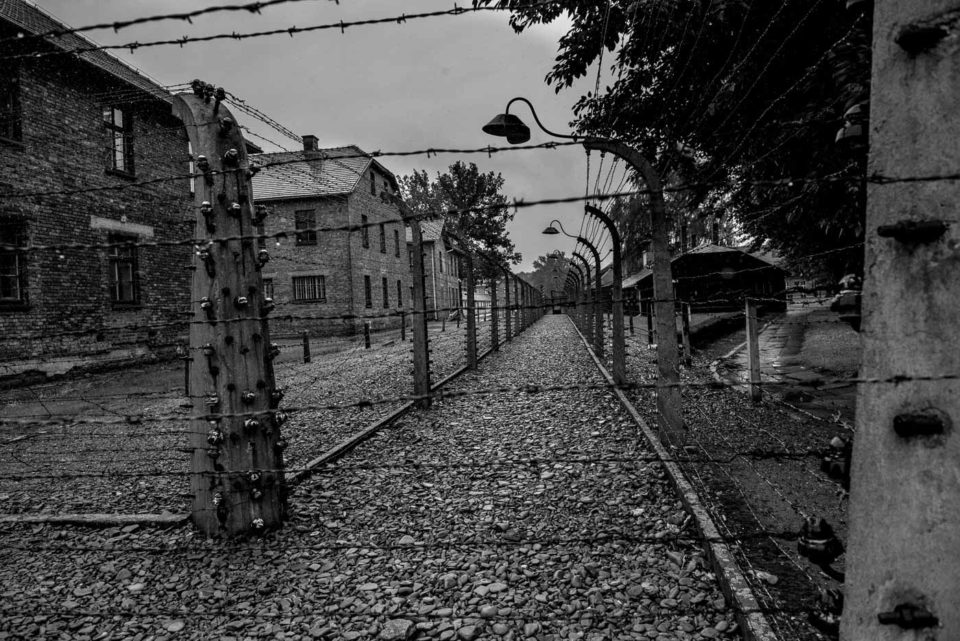 auschwitz fence line