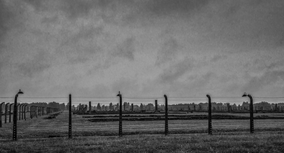 birkinau fence line