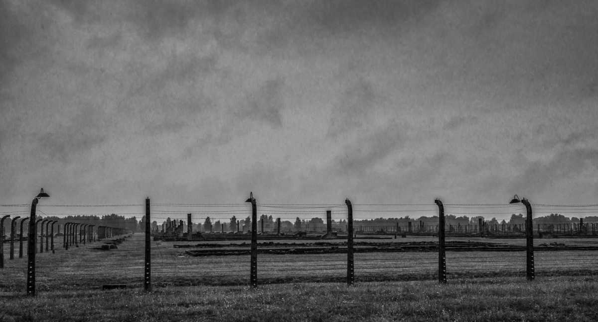 birkinau fence line