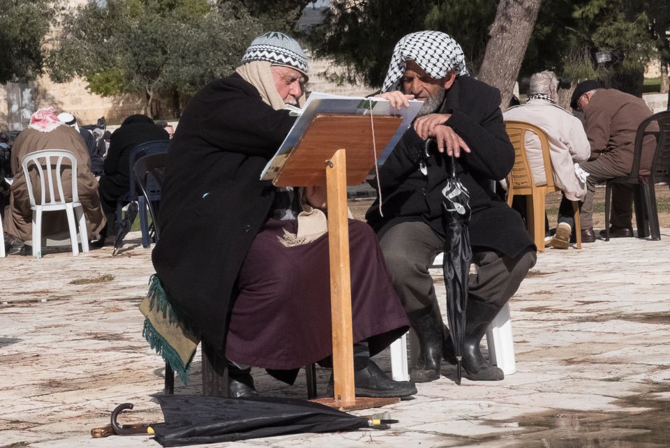 old men studying Koran Jerusalem dome rock