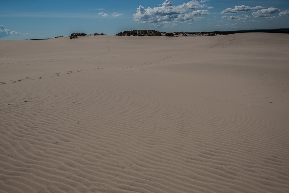 sand dunes jutland denmark