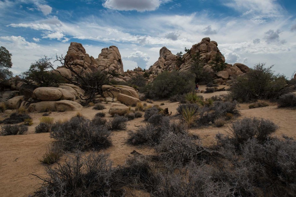 Hidden Canyon, Joshua Tree National Park Travel Past 50