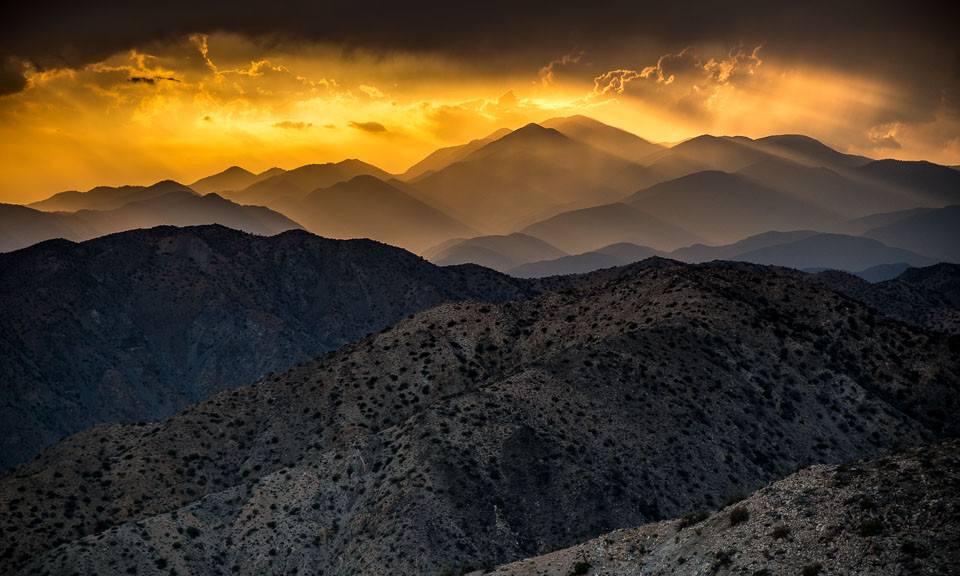 sunset joshua tree np