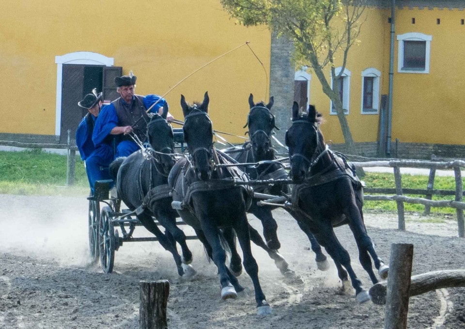 Bakod Puszta Equestrian Center, Kalocsa, Hungary