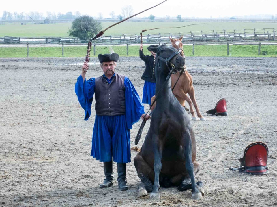 Bakod Puszta Horse Farm, Equestrian Center, Hungary