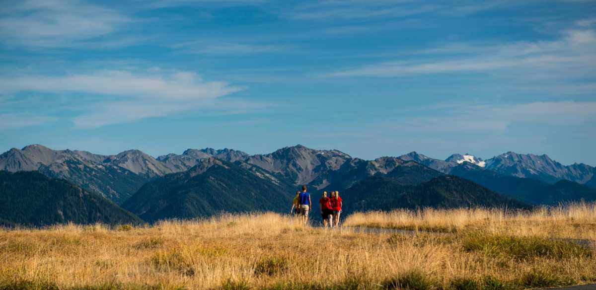 hikers olympic national park washington