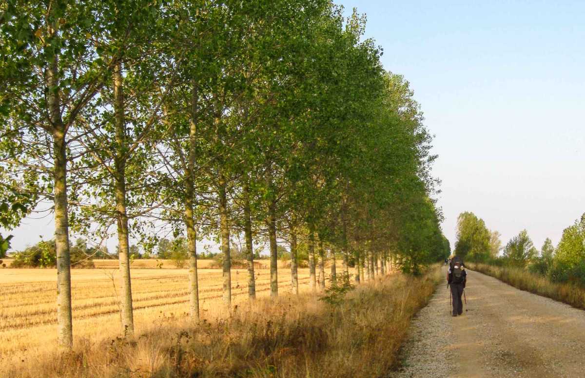 Walking Tour Camino de Santiago