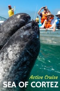 Active Travel Sea of Cortez