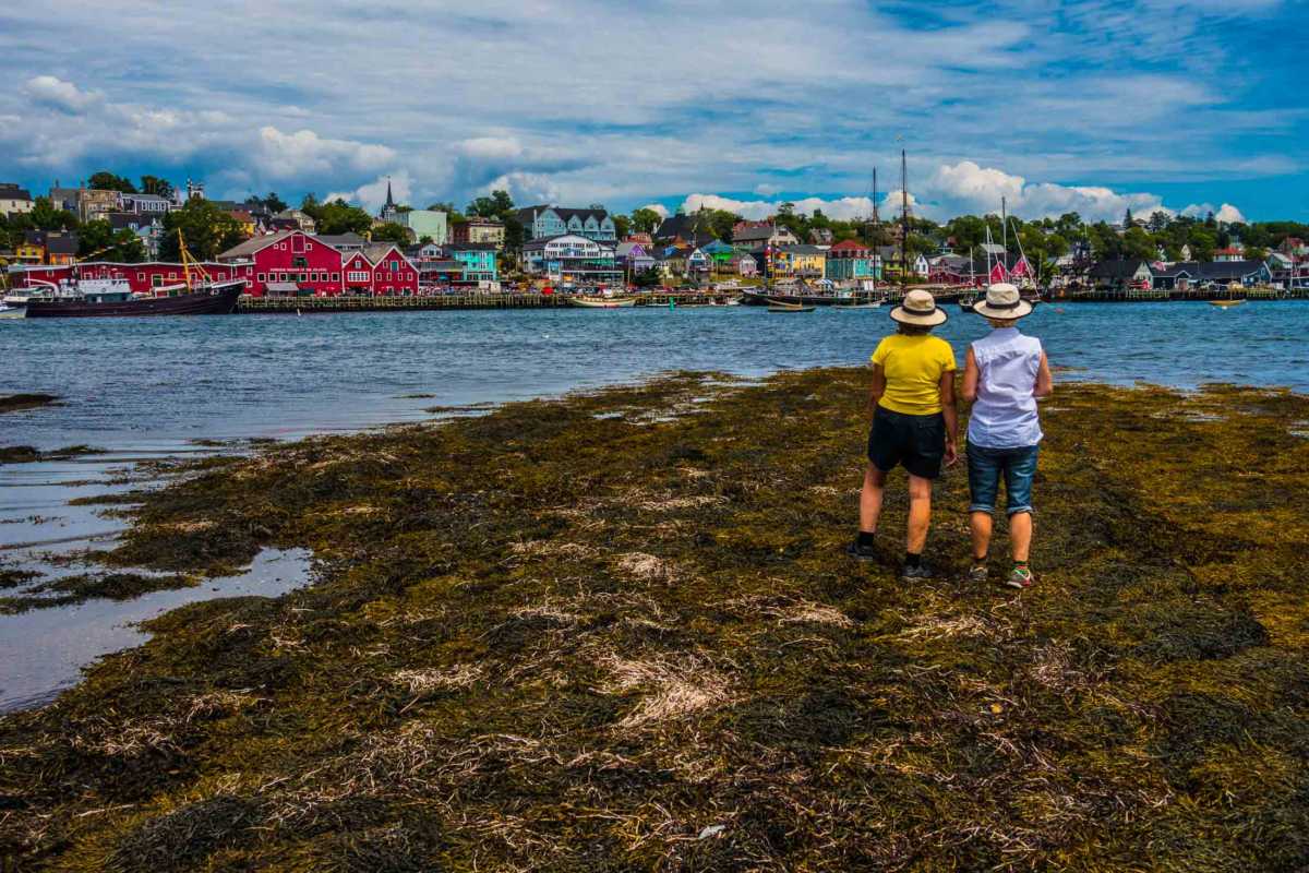 lunenburg low tide nova scotia