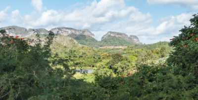 Cuba Vacations: Hiking National Parks in Cuba