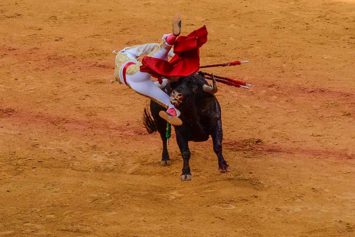 Sevilla bull fight
