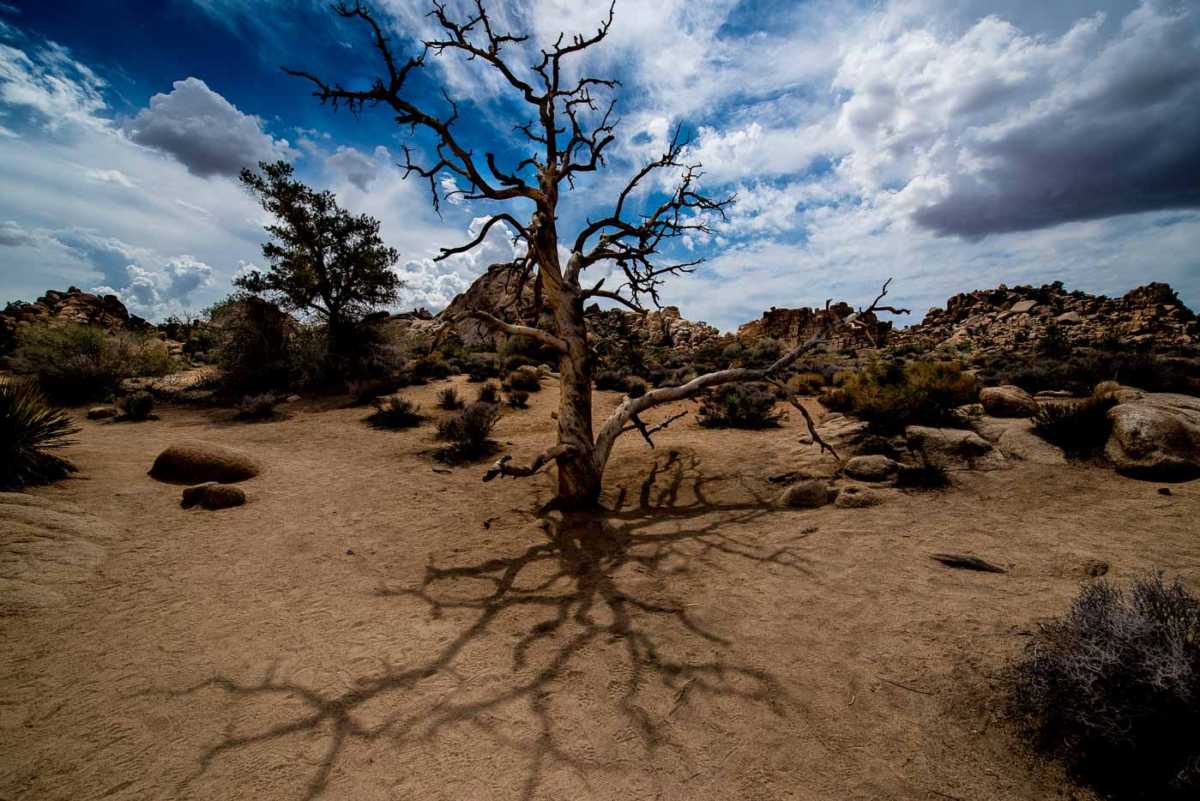 hidden canyon joshua tree national park