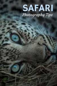 Tips for Africa Safari Photography 