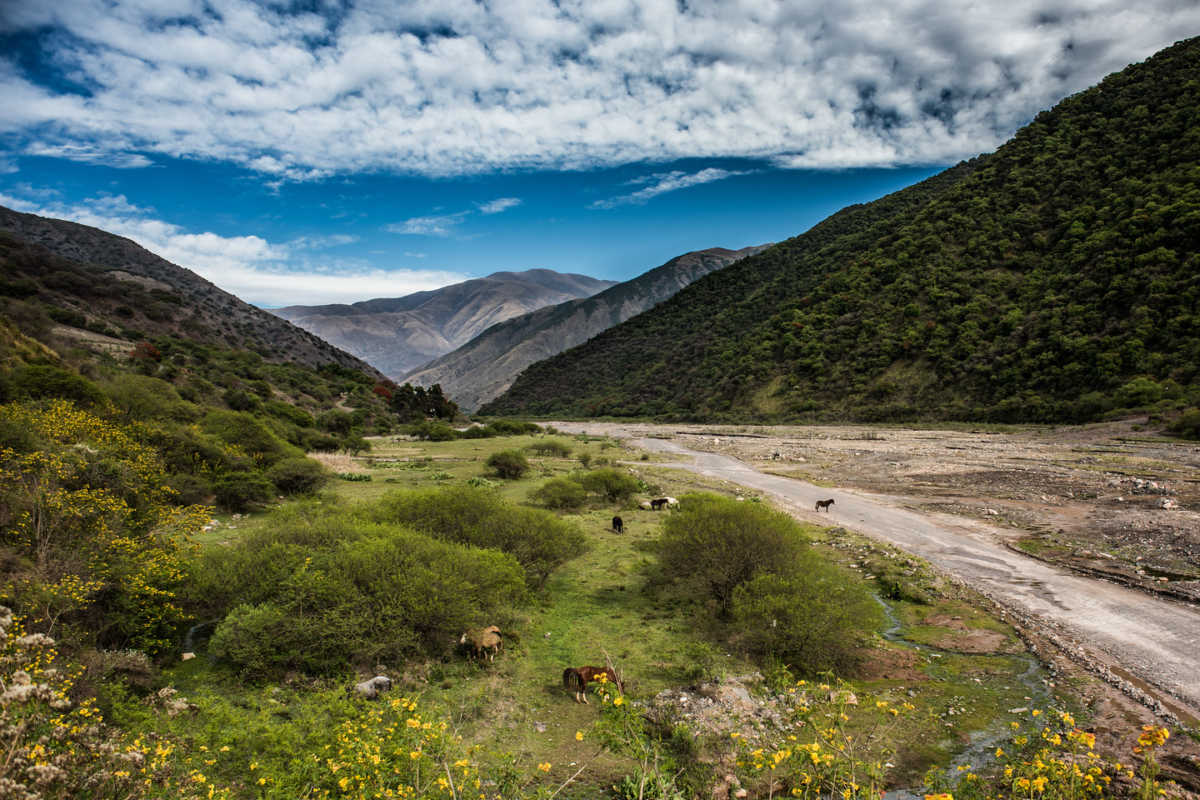 Salta Argentina