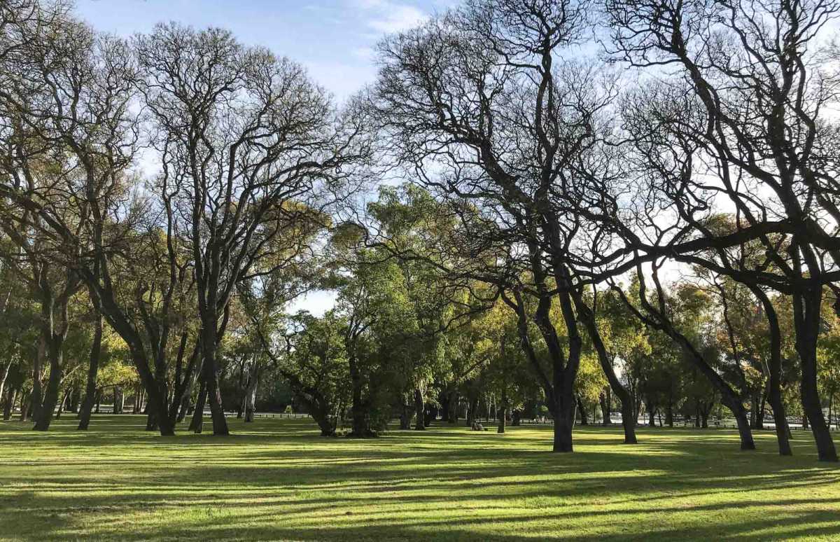 spring blossoms park