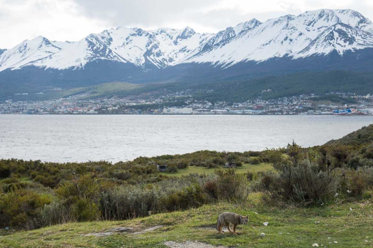 Ushuaia Tierra del Fuego Argentina