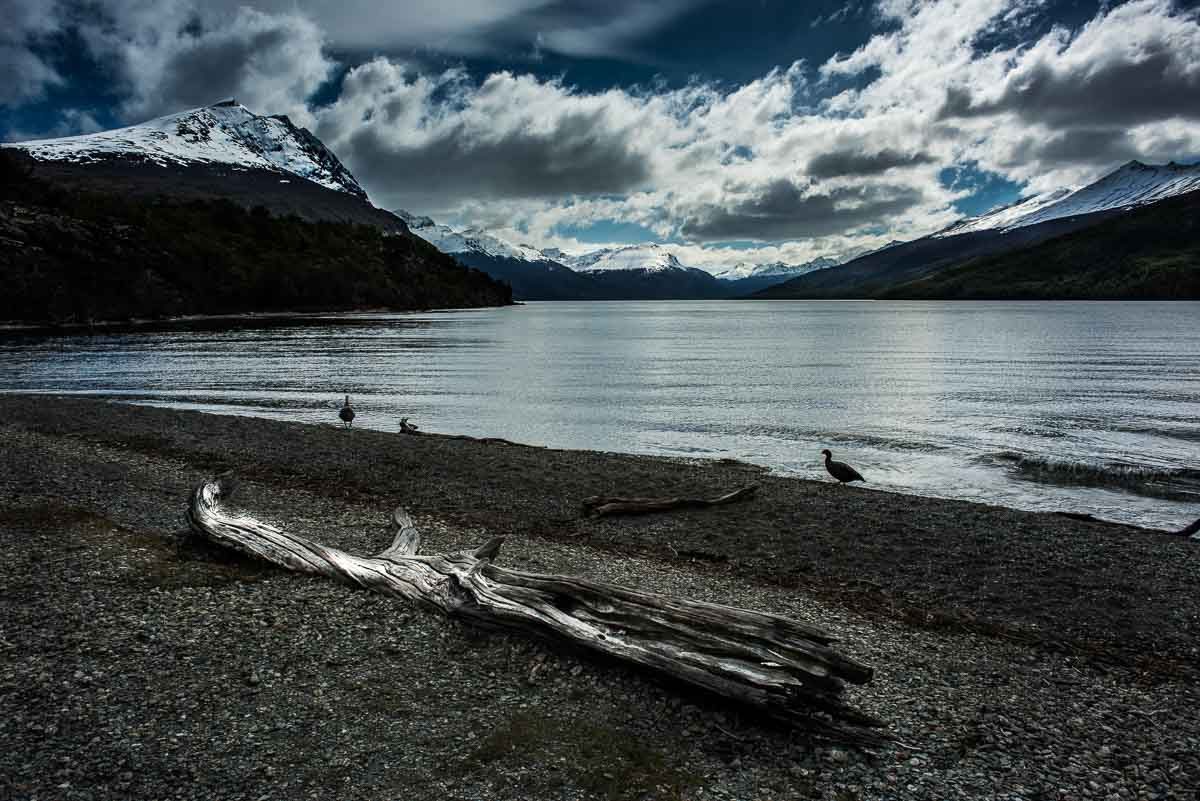 Argentina_Tierra del fuego beagle strait shore