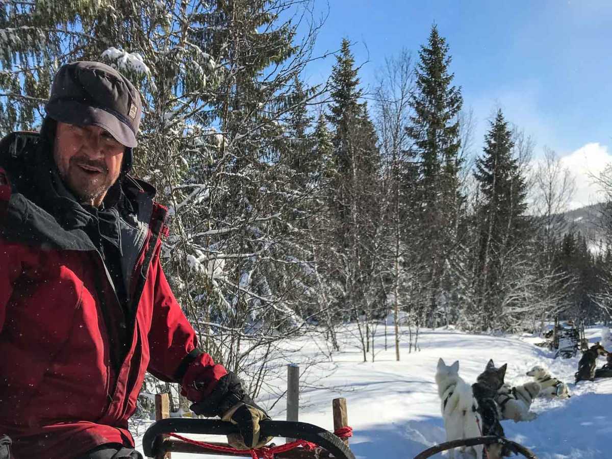 Sweden, ARE, dogsledding