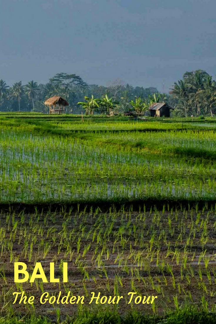 A quiet dawn tour of the Bali's countryside with Agung Rai based on simple observation. #Bali #Ubud #Indonesia #TravelPast50 #seniortravel #travelphotography #TBIN