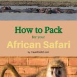 Packing for Africa Safari