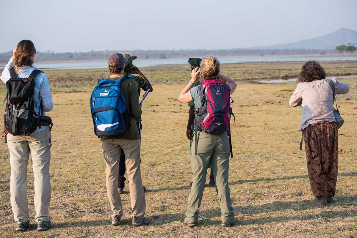 Malawi Vwaza spotting hippos