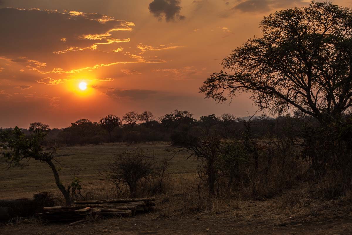 Malawi Vwaza sunset 4