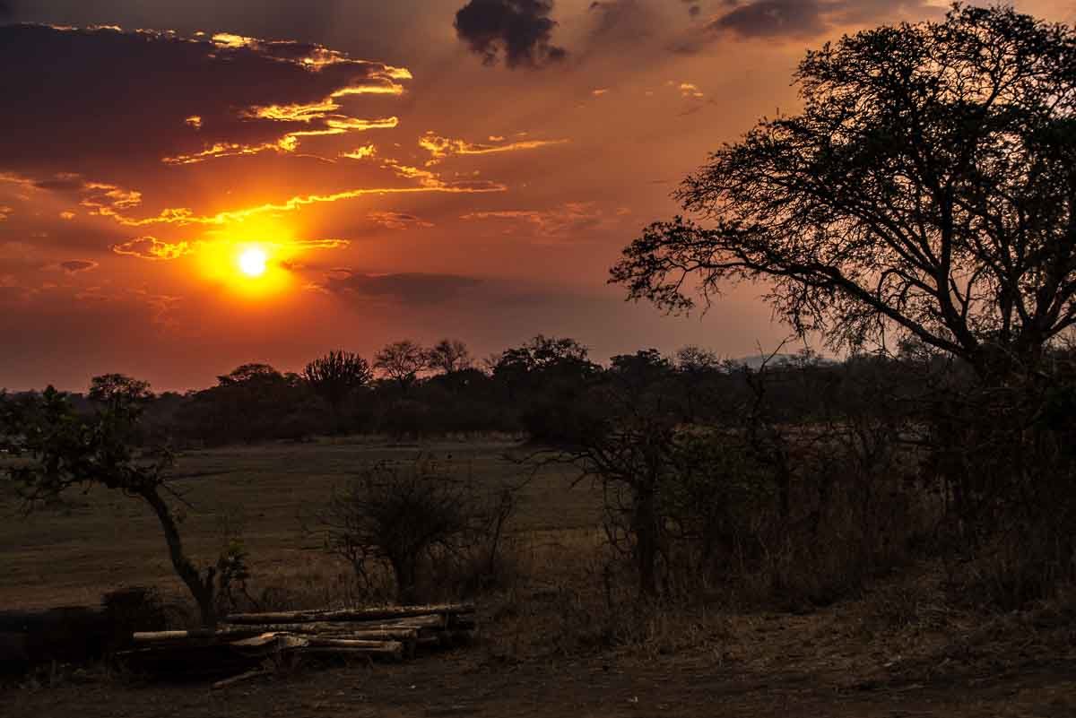 Malawi Vwaza sunset 7