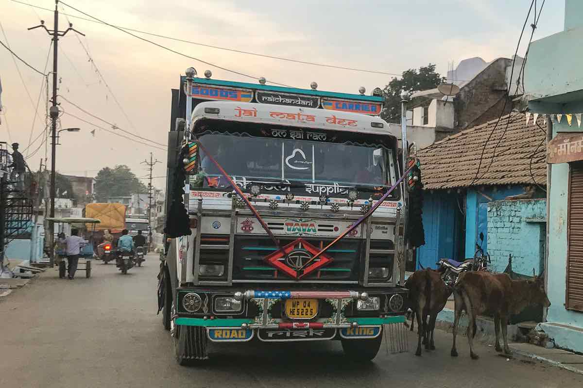 India Tiger Safari