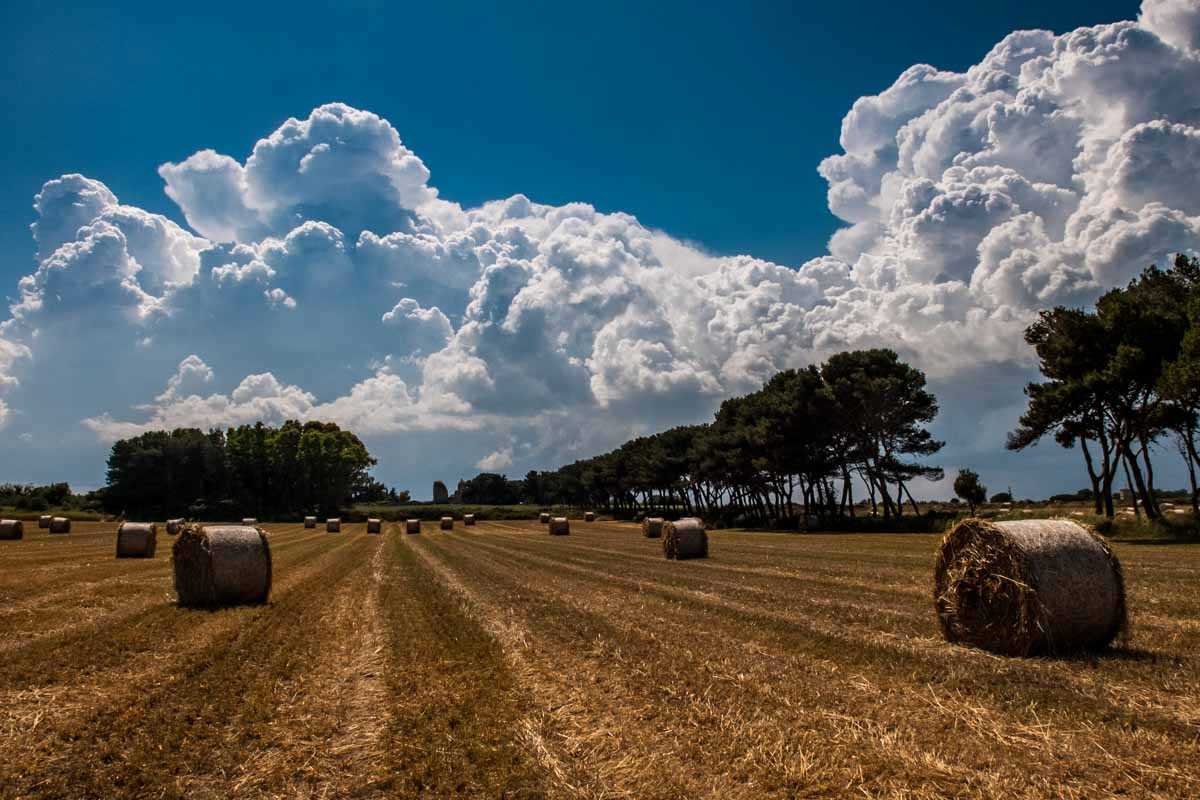 field near otranto italy