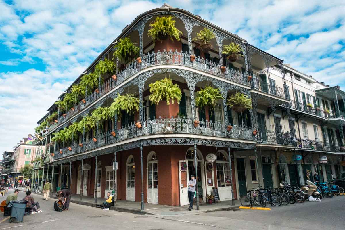 new orleans no longer needs artist licence