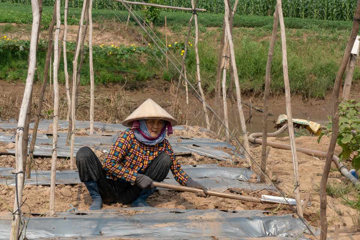 Mekong River cruise with AMA Waterways